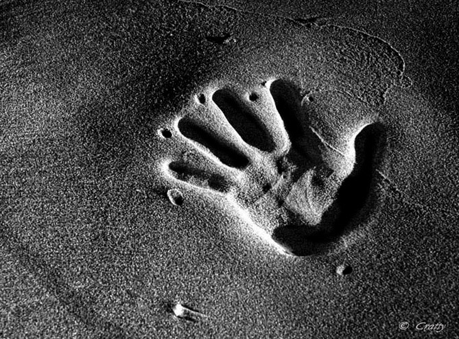 Copyright Stefano Maselli